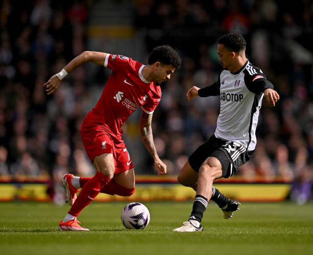 本土宠儿在 本土宠儿在