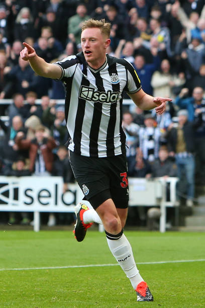 寒地丝绸之 寒地丝绸之