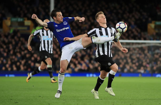 饮食结构的 饮食结构的